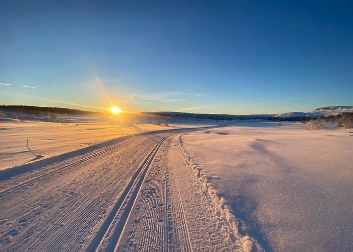 Delikat Omgitt Av Hallingdals Vakre Fjell 奥尔